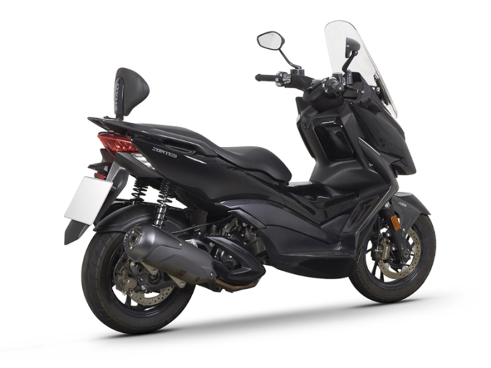 Sistem de fixare SHAD pentru spatar SHAD [4]