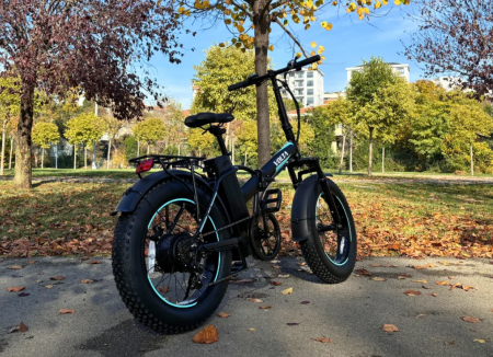 Bicicletă Pliabilă Electrică B2 - 250W (800 W) [6]