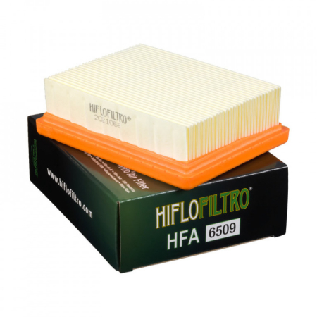 FILTRE - Filtru de aer HIFLOFILTRO