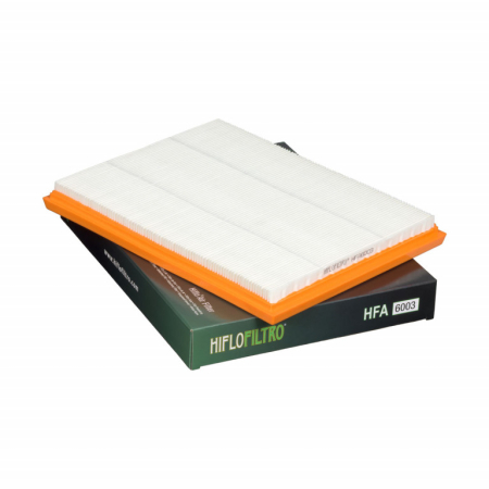 FILTRE - Filtru de aer HIFLOFILTRO