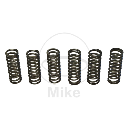 MOTOR - Kit arcuri ambreiaj EBC 5