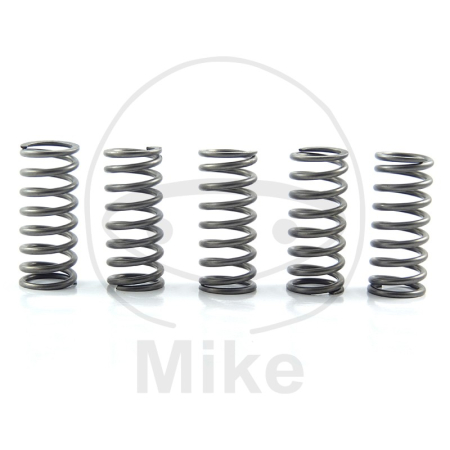 MOTOR - Kit arcuri ambreiaj EBC 5