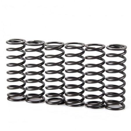 MOTOR - Kit arcuri de ambreiaj MOTION STUFF
