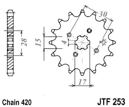 Pinion fata JT 13T, 420 [1]