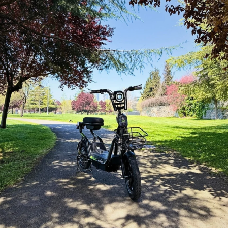 Bicicleta electrica scuter fara permis cu pedale, Volta SM - 220W [13]