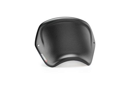 Parbriz - Windshield PUIG FRONTAL PLATE carbon look