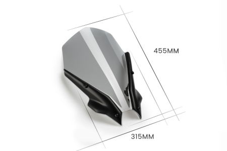 Windshield PUIG NEW. GEN TOURING smoke [4]