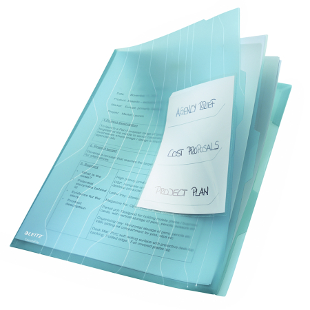 File de protectie  - File Leitz CombiFile, cu separatoare, grosime 200 microni, 3 bucati/set
