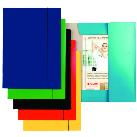 Organizare si arhivare - Mapa din carton plastifiat cu elastic, ESSELTE Economy - bleumarin