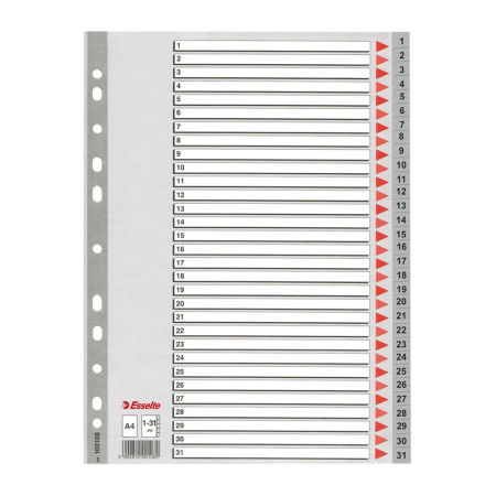 Organizare si arhivare - Index din plastic Esselte, A4, index 1-31