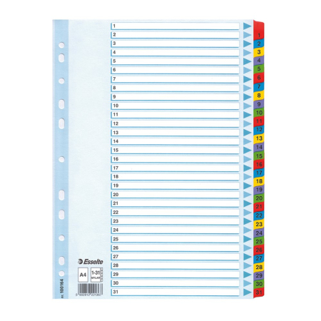 Organizare si arhivare - Index Esselte Mylar, 1-31, A4