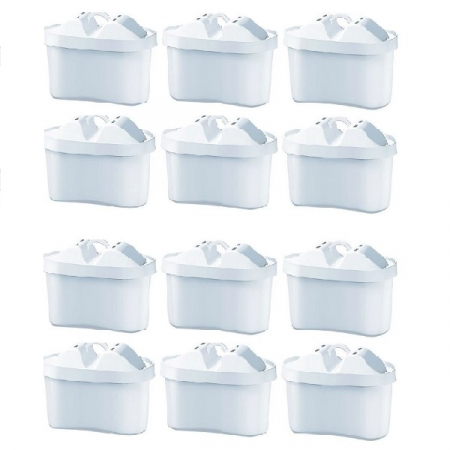 Set 12 cartuse Maxfor+ [1]