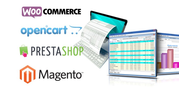 Implementare Soft Gestiune Magazin Saga Marketline [2]