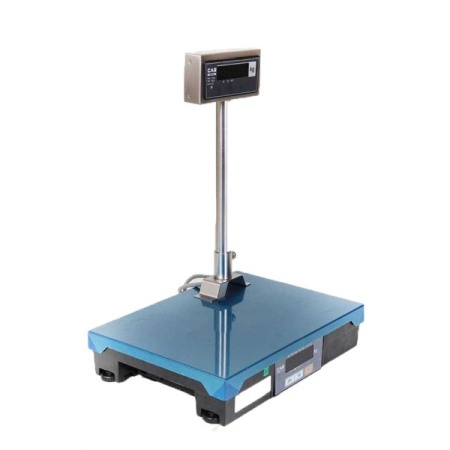 Cantare electronice - CAntar incorporabil CAS PD-II