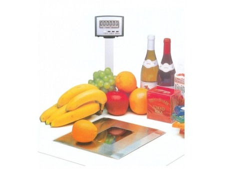 Cantar incorporabil Digi DS-980 [1]