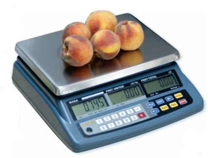 Cantare electronice - Cantar Partner Seria RAB