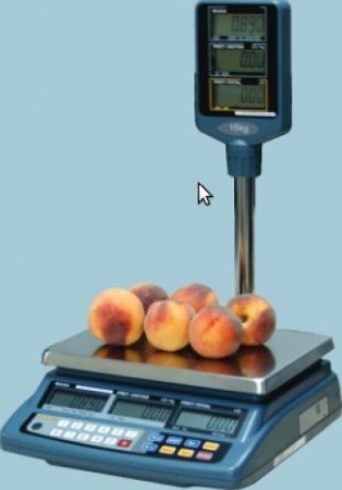 Cantare electronice - Cantar Partner Seria RAB-P