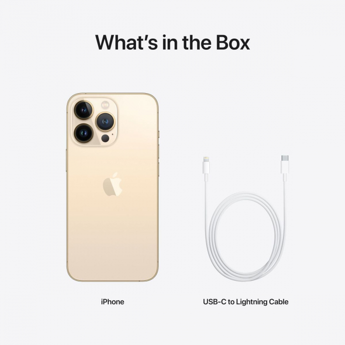 Apple iPhone 13 Pro 1TB Gold [10]