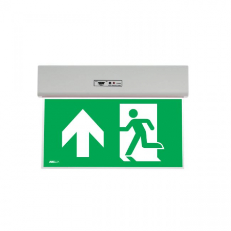 Emergente - Corp iluminat de emergenta sageata sus 0.5W Arelux GO10M AUN