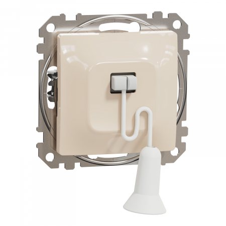 Intrerupatoare Sedna - Intrerupator revenire cordon 10A Schneider Sedna bej SDD112122
