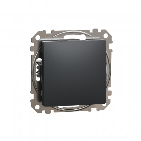 Intrerupator simplu Schneider Sedna antracit SDD114101 [1]