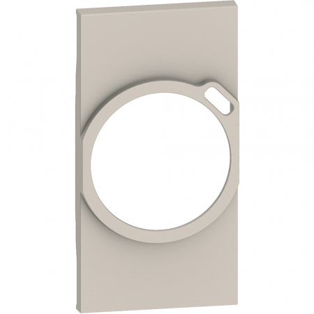 Alte functii Living Now - Placa priza schuko cu USB 2M Living Now Bticino nisip KM63