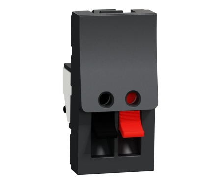 Schneider Noua Unica - Priza audio clips 1M Schneider Noua Unica antracit NU348754
