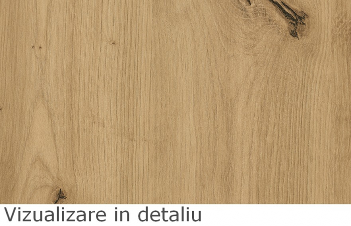PAL melaminat Egger, Stejar salbatic natur H1318 ST10, 2800x2070x18 mm [3]