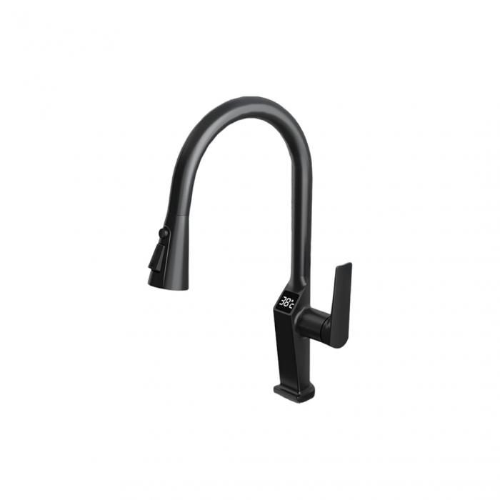 Robinet S99, Afisaj Digital Al Temperaturii, Culoare Negru [1]