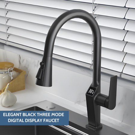 Robinet S99, Afisaj Digital Al Temperaturii, Culoare Negru [5]