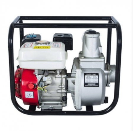 Moto Pompa Apa Straus 6.5cp [2]