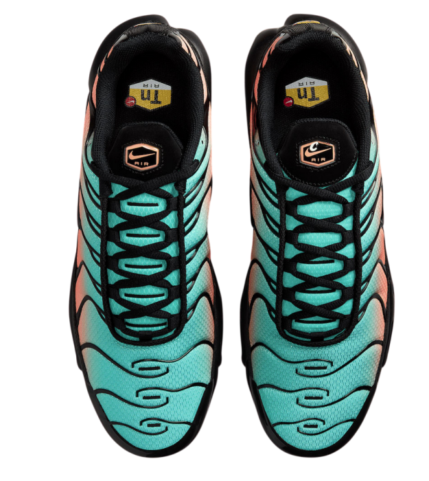 Nike Air Max Plus South Beach [3]