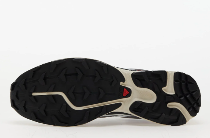 Salomon XT-6Pewter Aurora Red [4]