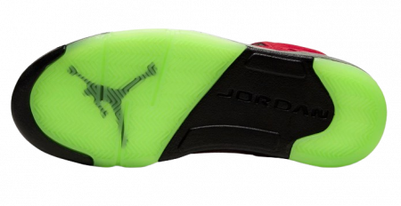 Jordan 5 Retro What The [4]