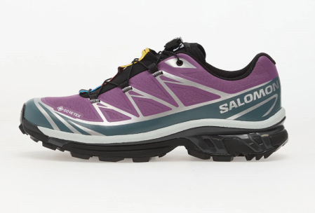 XT-6 - Salomon XT-6 Gore-Tex Concord Grape Stormy Weather