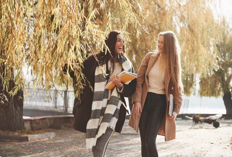 Top 6 perechi rezistente adidasi facultate