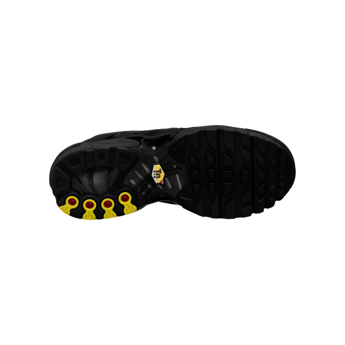 Nike Pantofi sport Nike Air Max Plus (Gs) - sneakerit.ro [9]