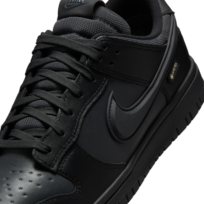 Nike Pantofi sport Nike Dunk Low Gtx - sneakerit.ro [3]