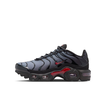 Nike - Pantofi Sport Nike Air Max Plus (Gs)