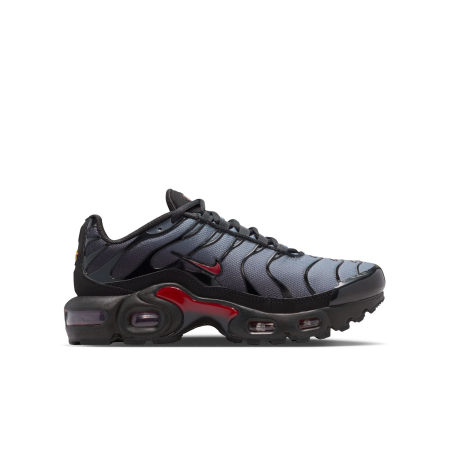 Nike Pantofi Sport Nike Air Max Plus (Gs) - sneakerit.ro [5]