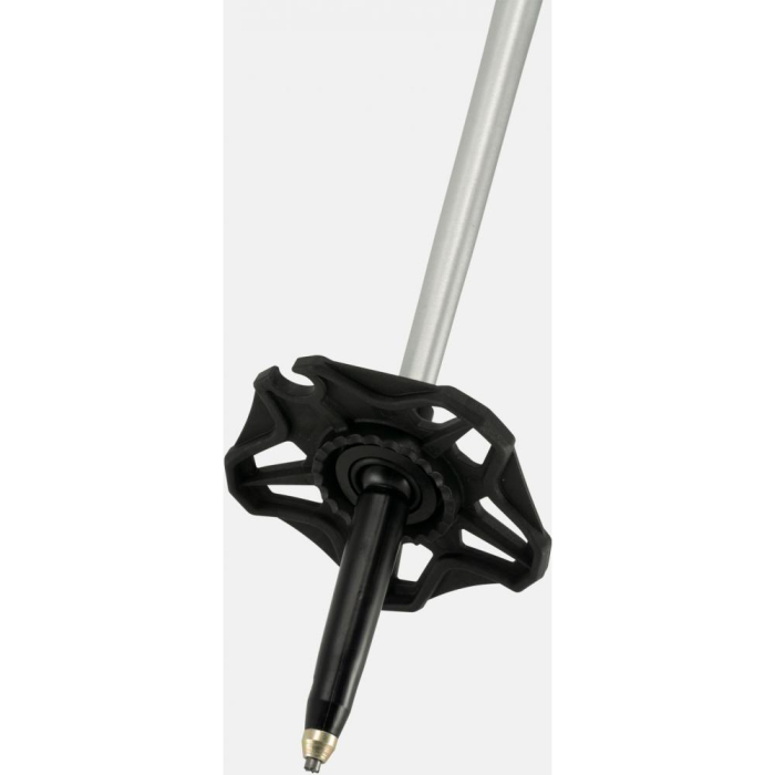 JONES BETE TALON [5]