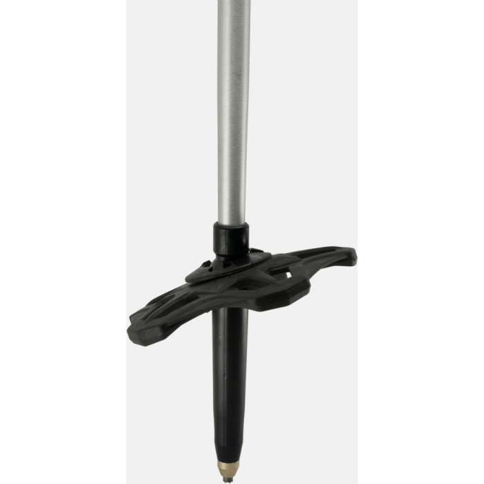 JONES BETE TALON [4]