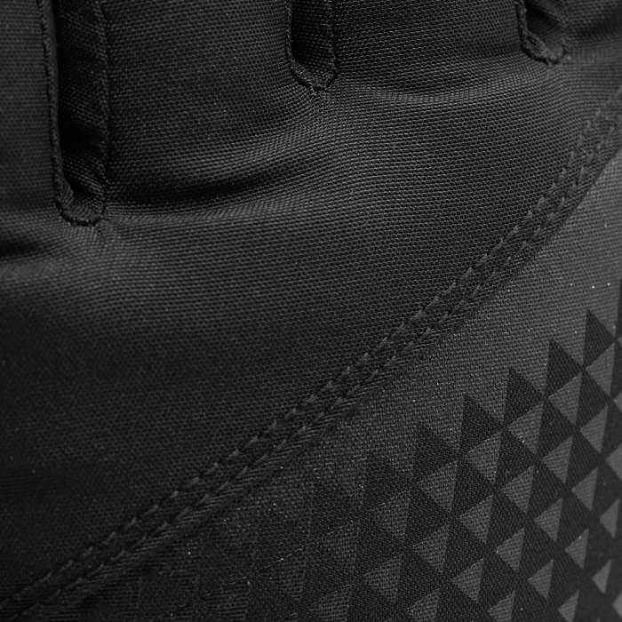 Manusi Schi Racer Gore-Tex Black [5]