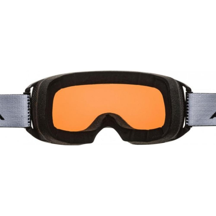 Ochelari ALPINA ARRIS black matt QH [3]