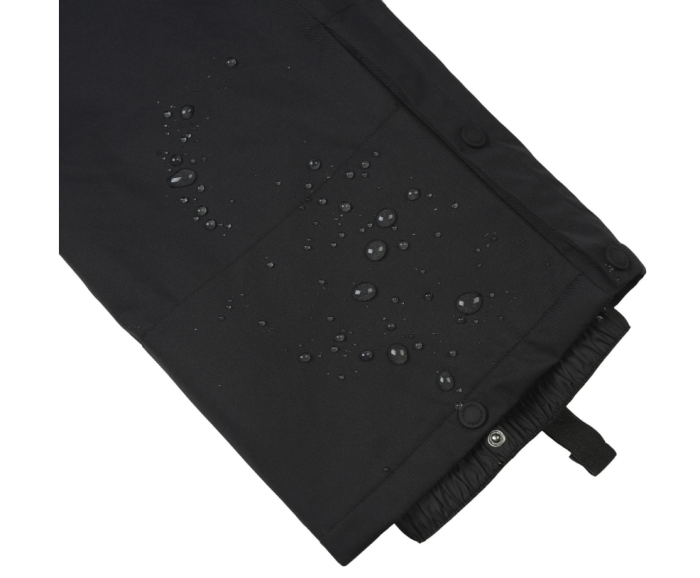 Pantaloni Icepeak Chaumont Black Femei 10K [5]