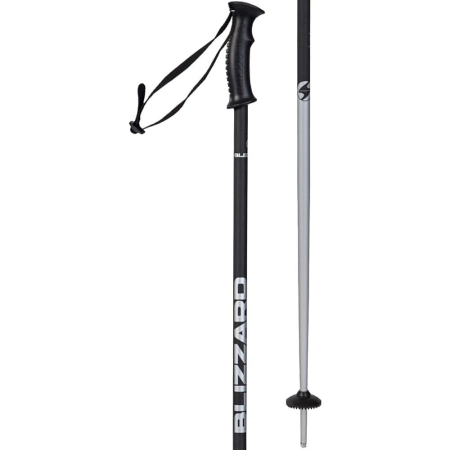 BETE BLIZZARD ski poles black matt/silver [0]