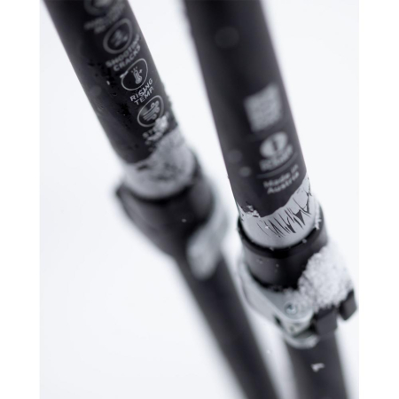 JONES BETE TALON [5]