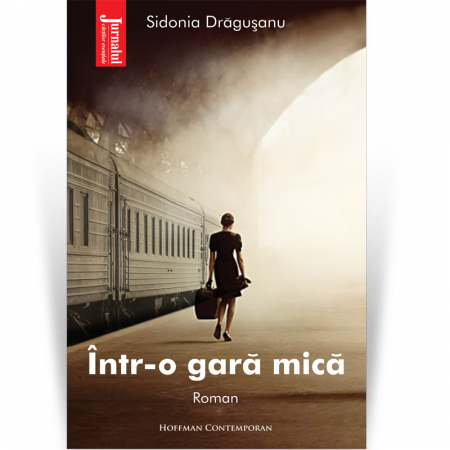 Contemporana - Intr-o gara mica - Sidonia Dragusanu