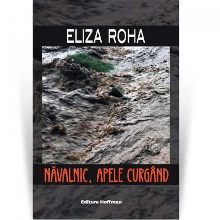 Contemporana - Navalnic, apele curgand - Eliza Roha