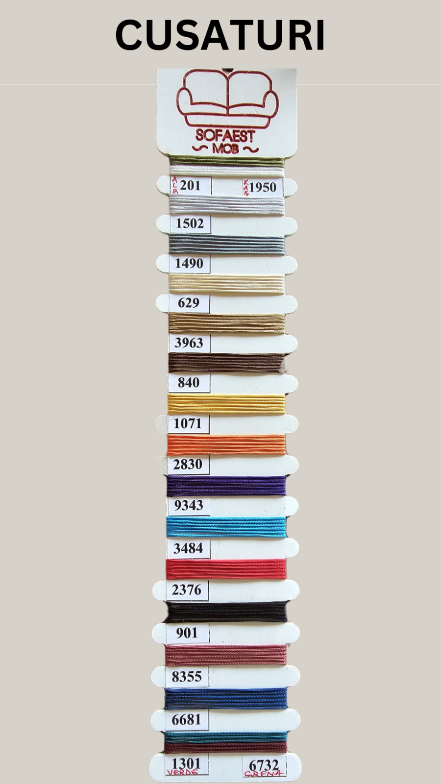 Pat Nisa Albastru [11]